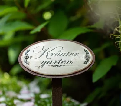 Ernte ohne Garten - Im duftenden Kräutergarten auf dem Balkon Ernte ohne Garten - Im duftenden Kräutergarten auf dem Balkon